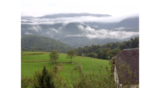 vue depuis le jardin