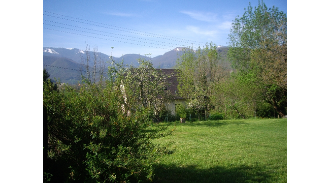 view from the garden
